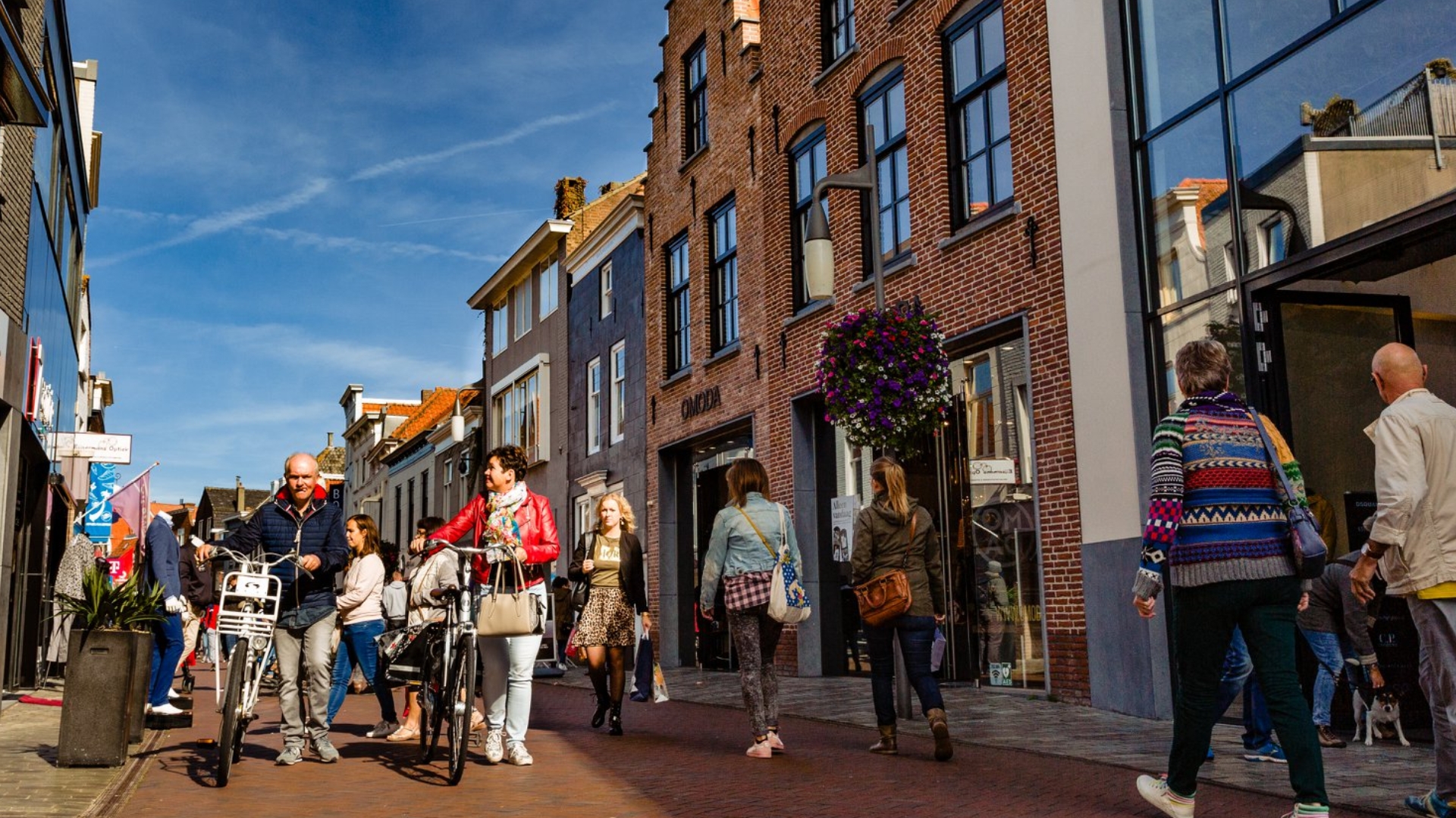werk Van FRANKLY voor Teckel Country Store: contentstrategie, campagne en ontwerp van een gebruiksvriendelijke website.